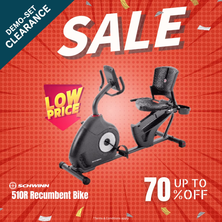 Demo Set – Schwinn 510R Recumbent Bike